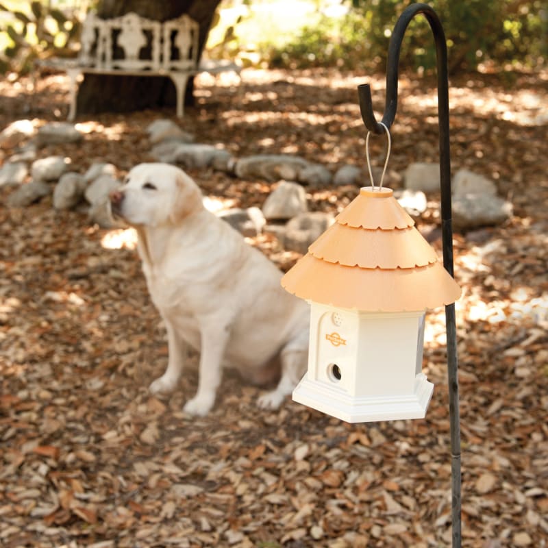 PetSafe Deluxe Outdoor Bark Control