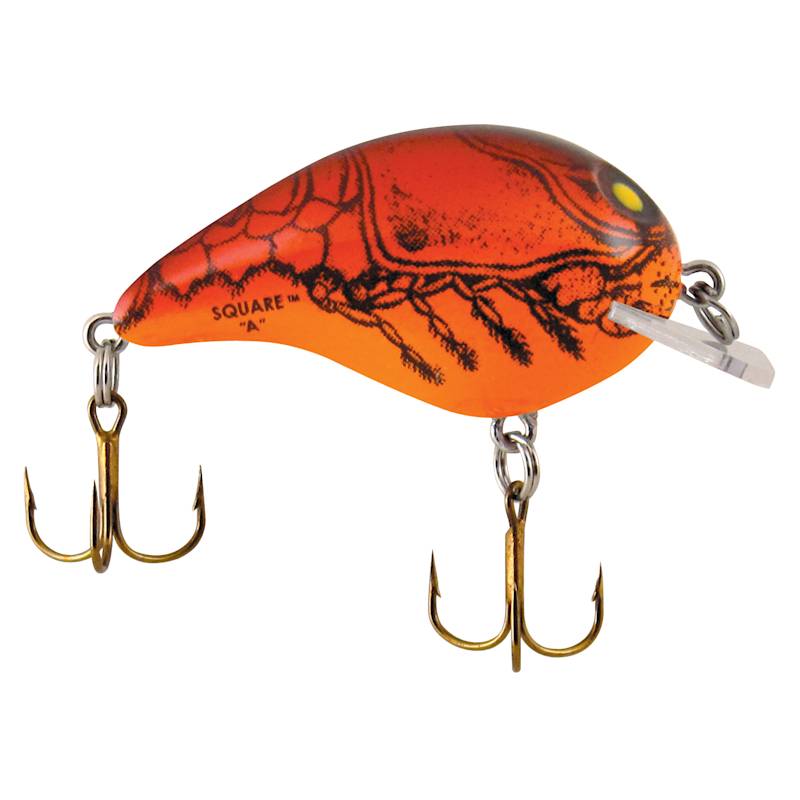 auto casting fishing pole Amazon.com : CAIGAO Automatic Fishing Rod and Reel Combos Telescopic Fishing  Pole with Reel Combo Sea Saltwater Freshwater Kit Fishing Rod Kit : Sports  & Outdoors