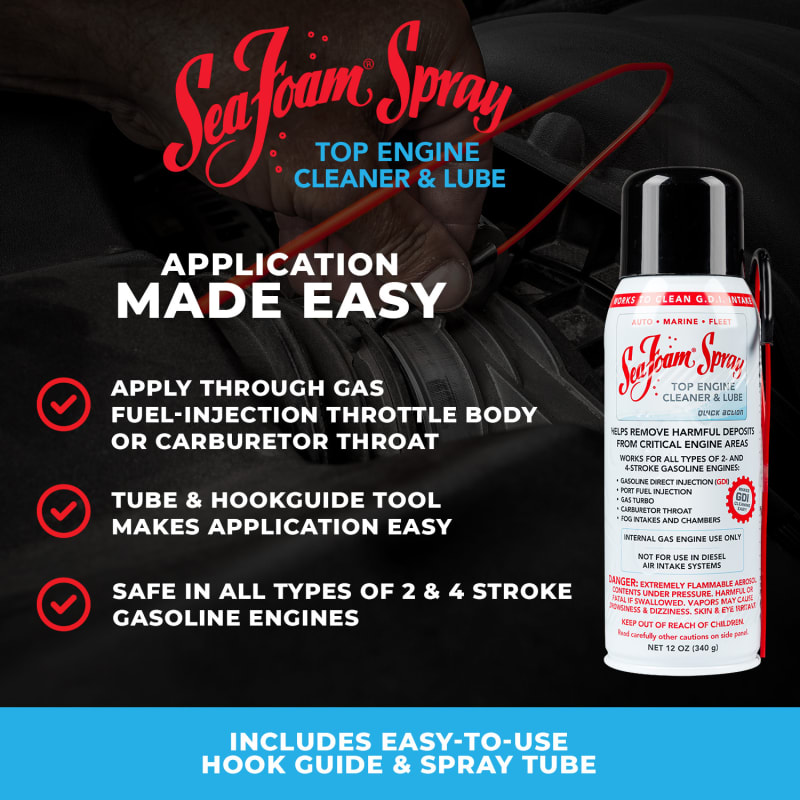 12 oz Spray Aerosol Engine Cleaner & Lube by Sea Foam at Fleet Farm