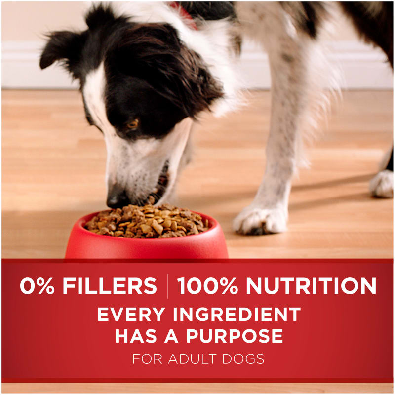 Lamb and rice purina one shop