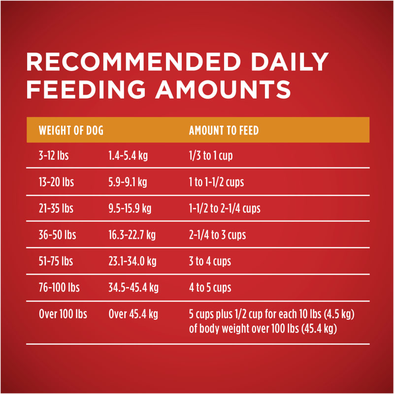 Purina one chicken and rice sales
