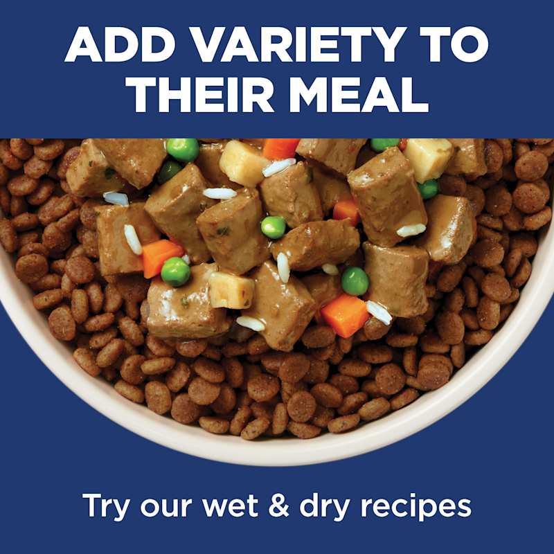 Science diet lamb and rice large breed deals