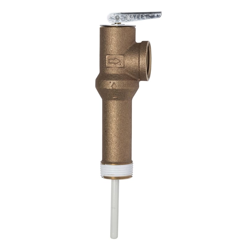 T P Relief Valve 3 In. Shank by AO Smith at Fleet Farm