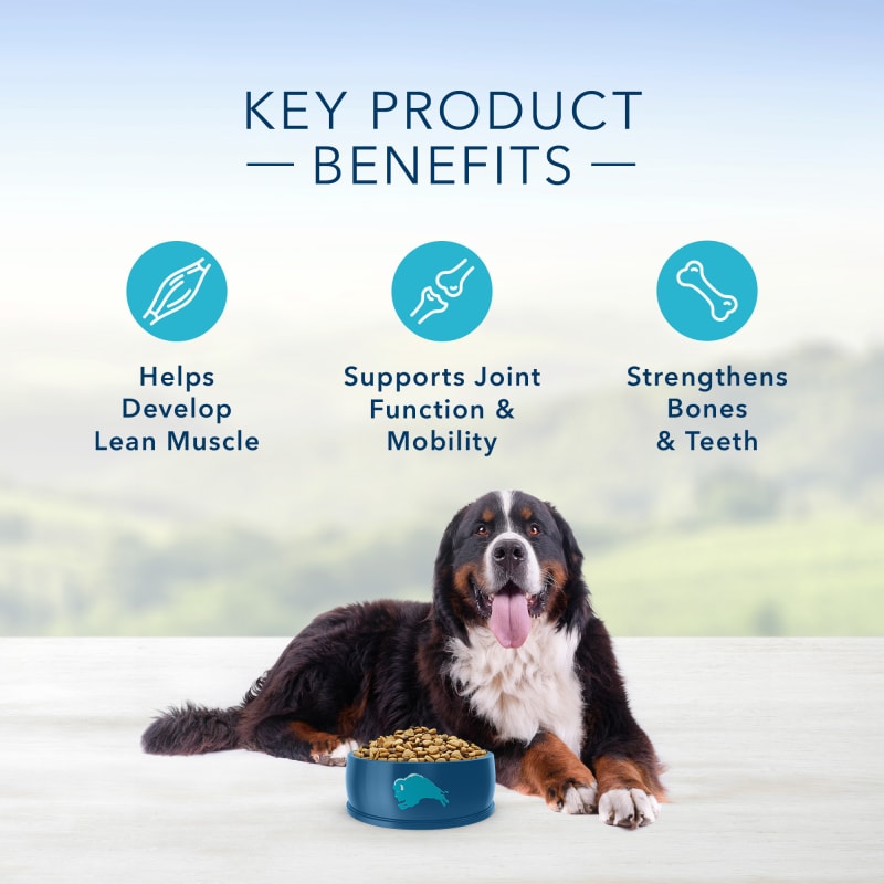 Adult Life Protection Formula Large Breed Chicken Brown Rice Dry