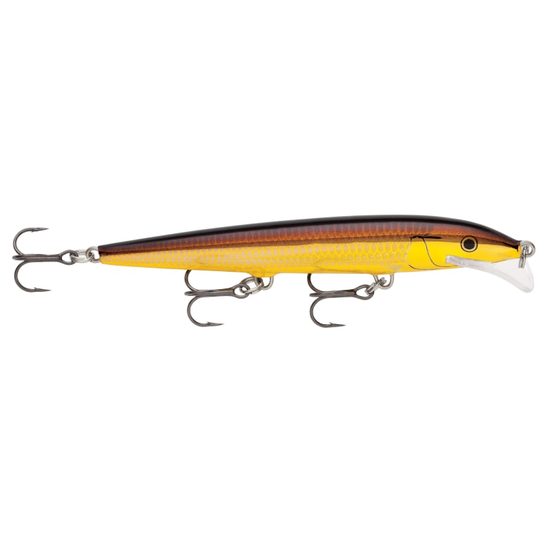 Scatter Rap Minnow - Gold Alburnus by Rapala at Fleet Farm