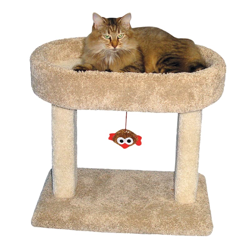 Kitty Cradle Assorted