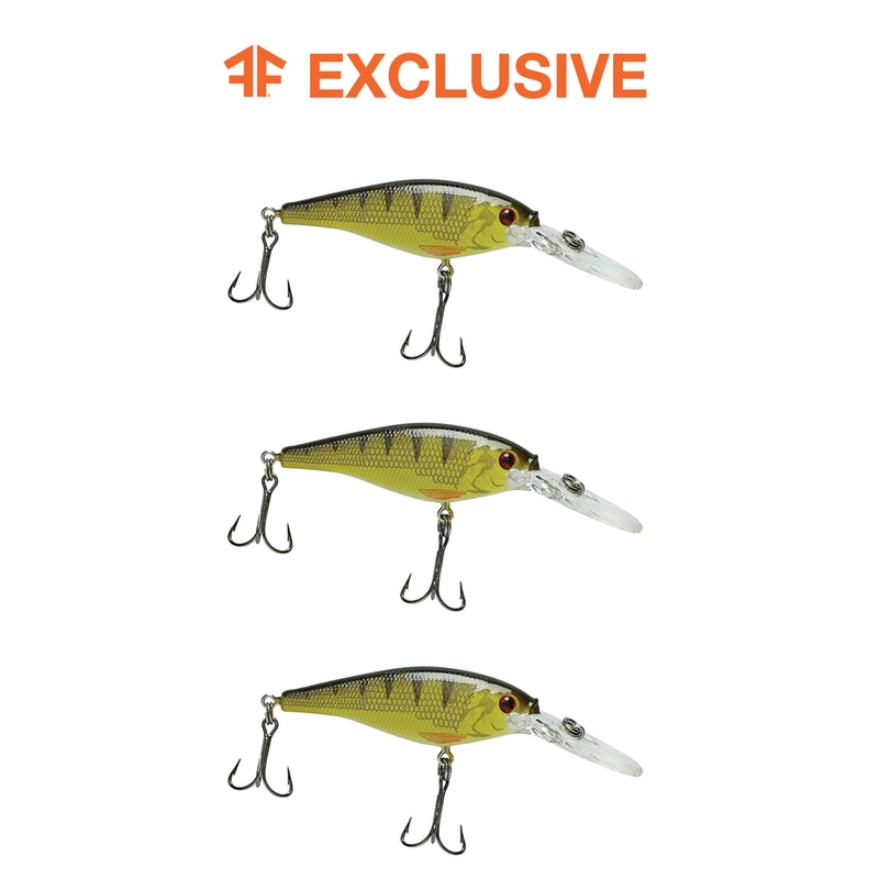 best bass fishing lures for december Top 5 Baits To Catch Tough Winter Bass  Tactical Bassin'