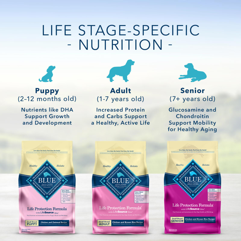 Blue buffalo toy breed dog food 2025