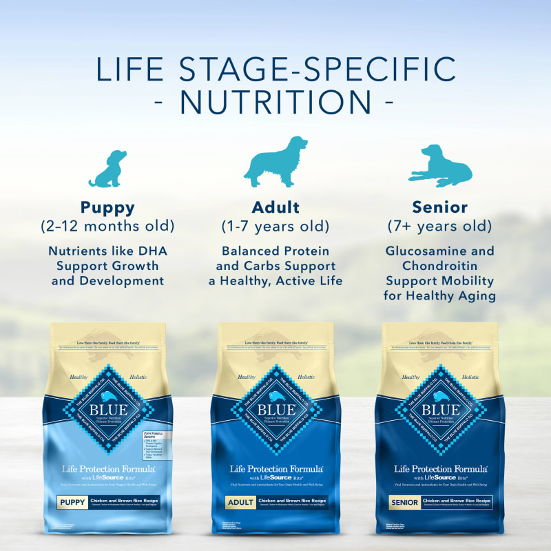 Blue buffalo dog food for shedding new arrivals