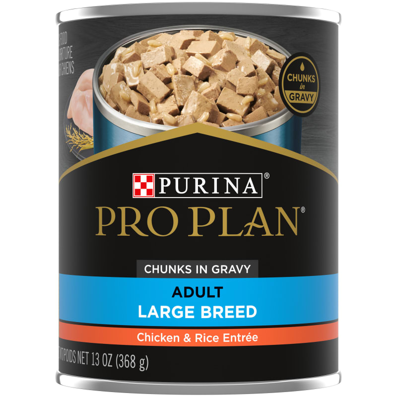 Large breed wet dog food shop