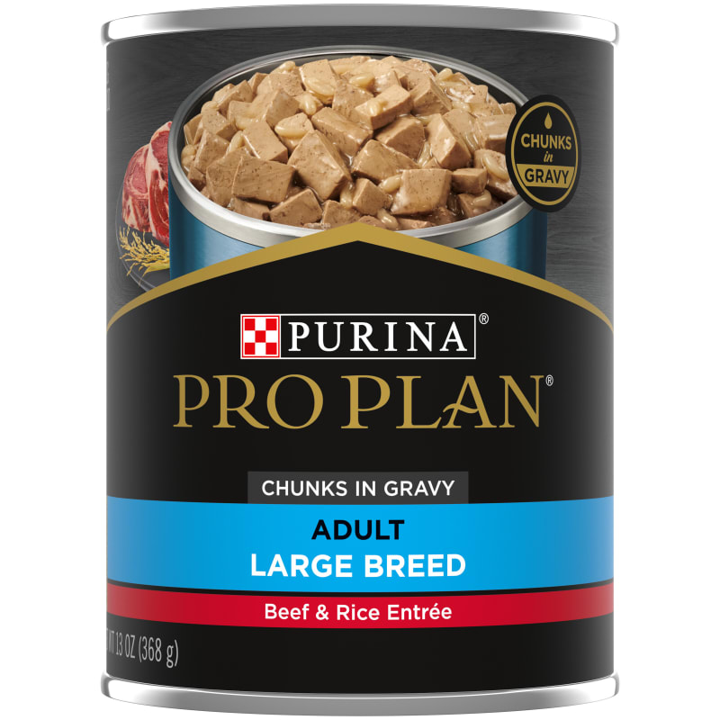 Wet dog food for large breeds sales
