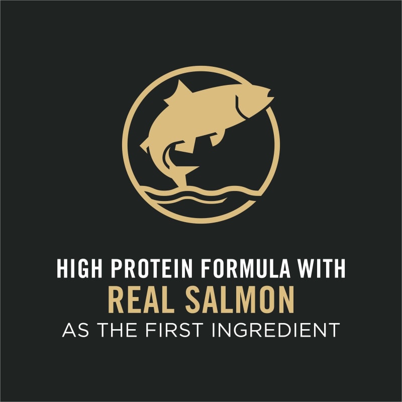 Pro plan shredded salmon and rice new arrivals
