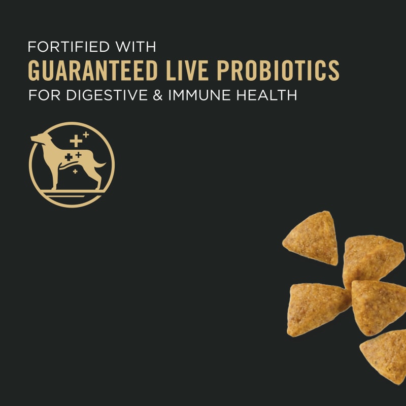 Fleet farm pro plan dog food shop