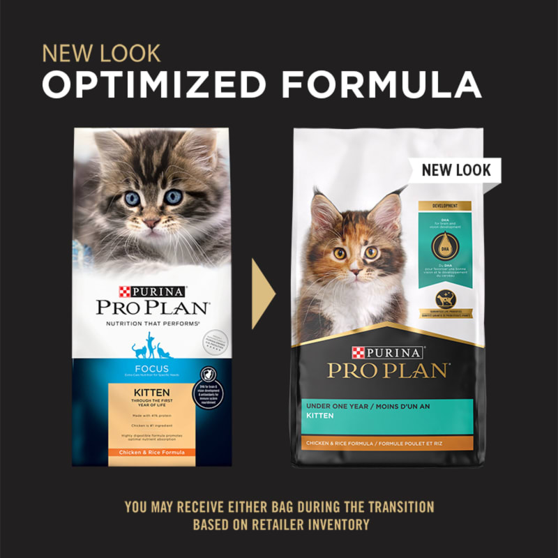 Purina Pro Plan Development Kitten Chicken Rice Formula Dry Cat