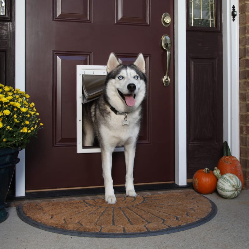 Large Extreme Weather Pet Door by PetSafe at Fleet Farm