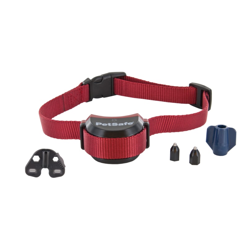 Petsafe stubborn dog wireless receiver collar online