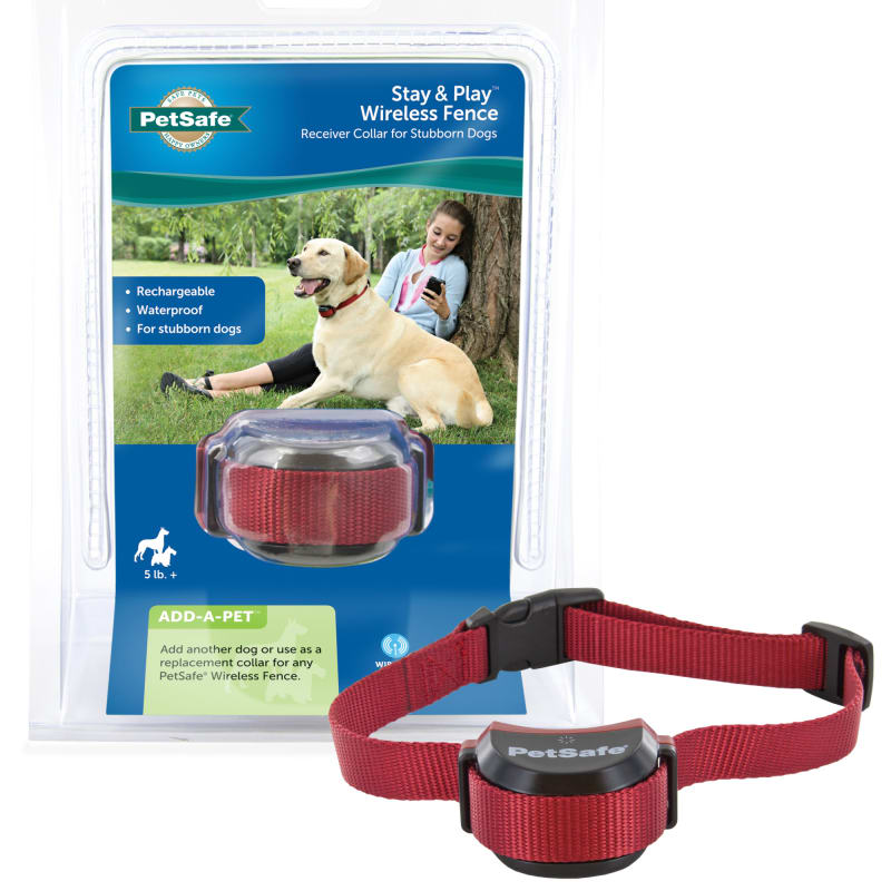 Stubborn Dog Stay Play Wireless Fence Receiver Collar by PetSafe at Fleet Farm