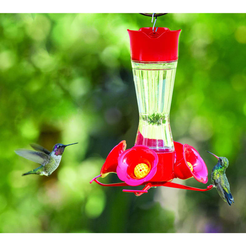Perky pet bee guards for hummingbird feeders sales