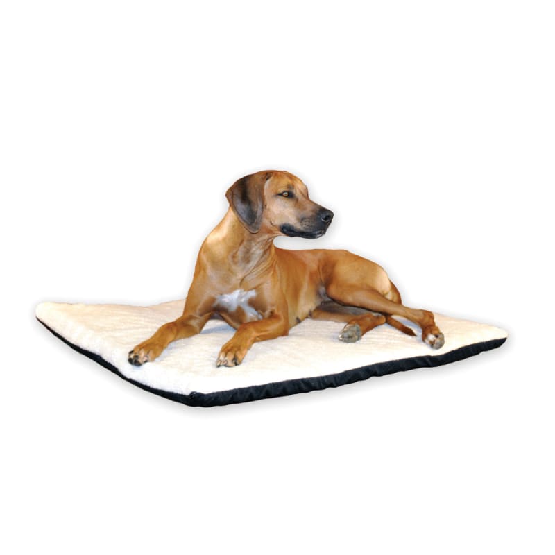 Farm and fleet dog beds clearance