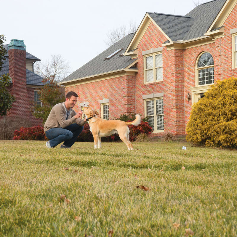 Fleet farm wireless dog fence hotsell