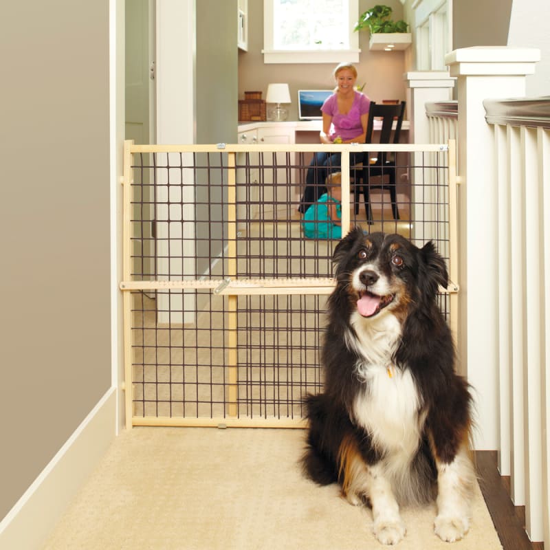 North states extra wide pet gate online