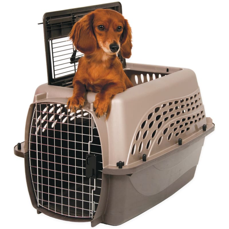 Farm and fleet dog crates on sale