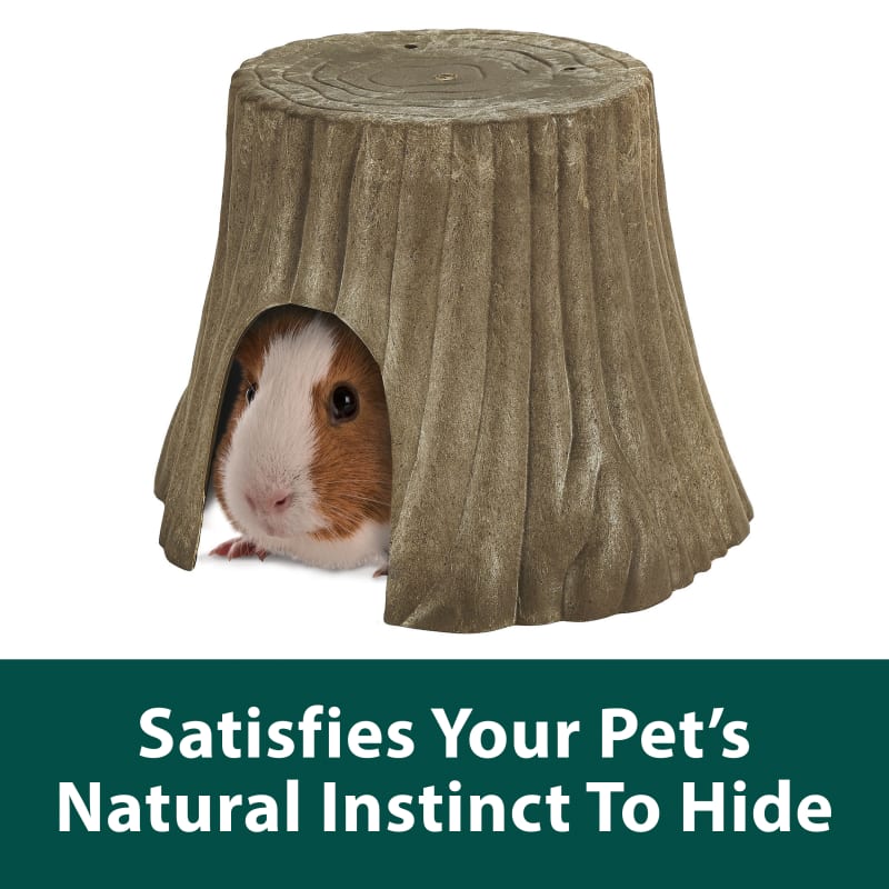 Large Natural Tree Trunk Hideout for Small Animals by Kaytee at Fleet Farm