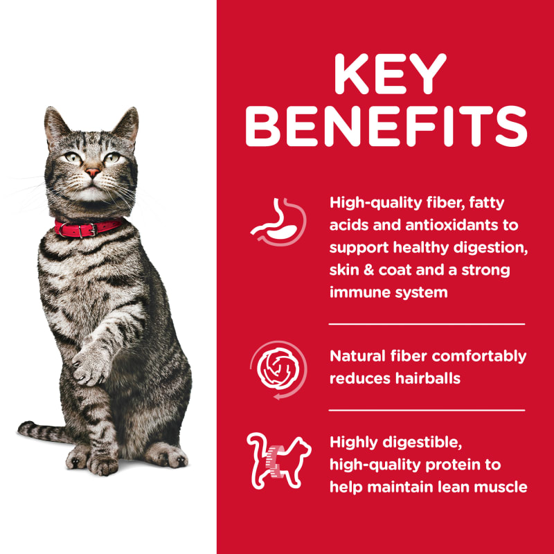 Science diet cat food hairball control outlet