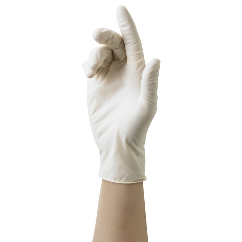 Disposable Latex Gloves 10 Ct. by Mr. Clean at Fleet Farm