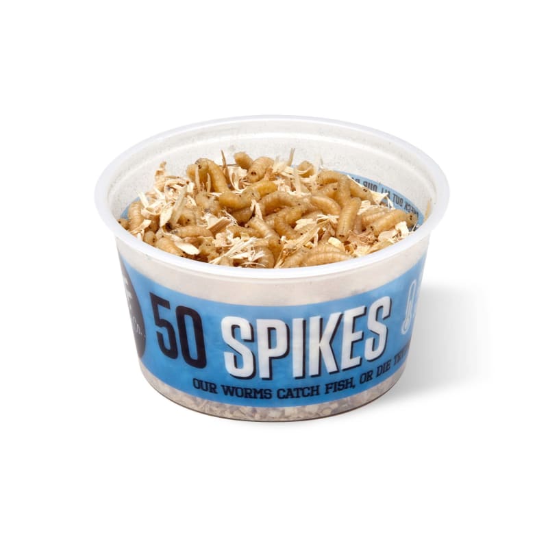 Spikes Bait - 50 Ct