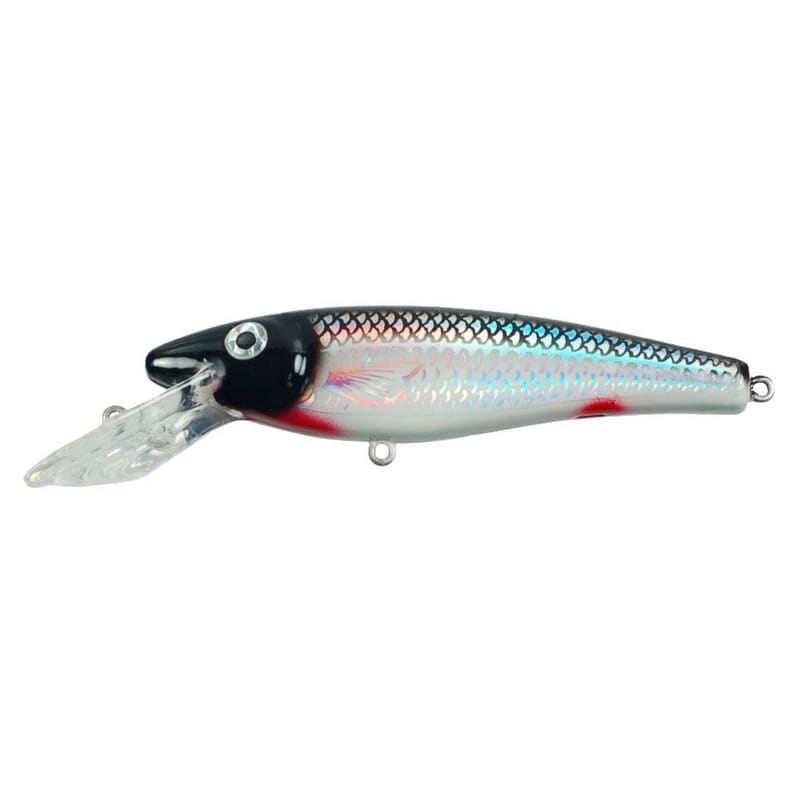 Ernie Holoform Silver Shiner Straight Crankbait by Musky Mania at Fleet Farm