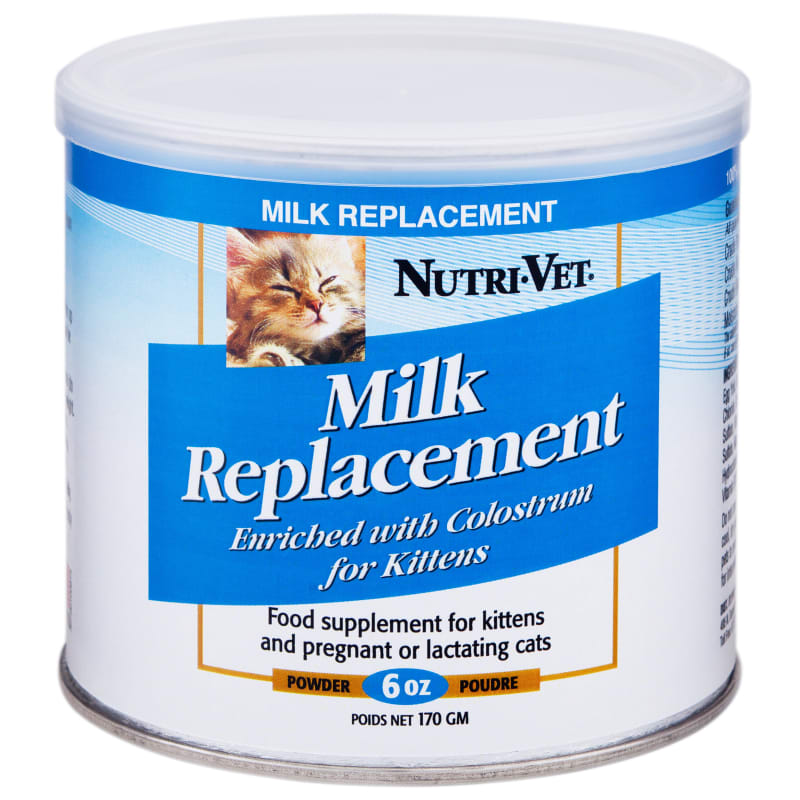 Replacement for kitten milk 2025