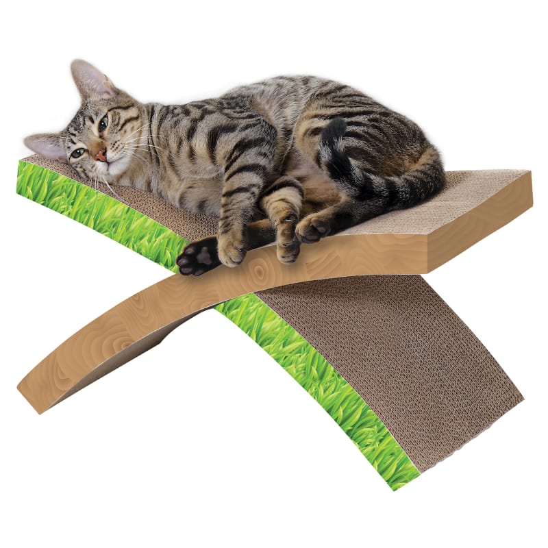 Whisker city online hammock and scratcher