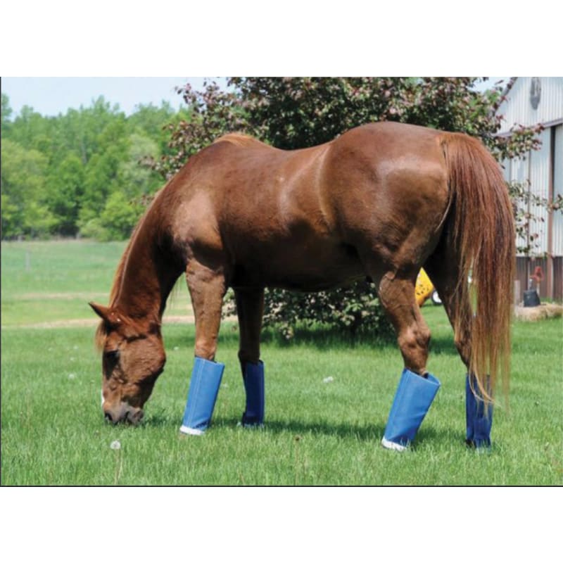 Shoo fly horse fly boots hotsell