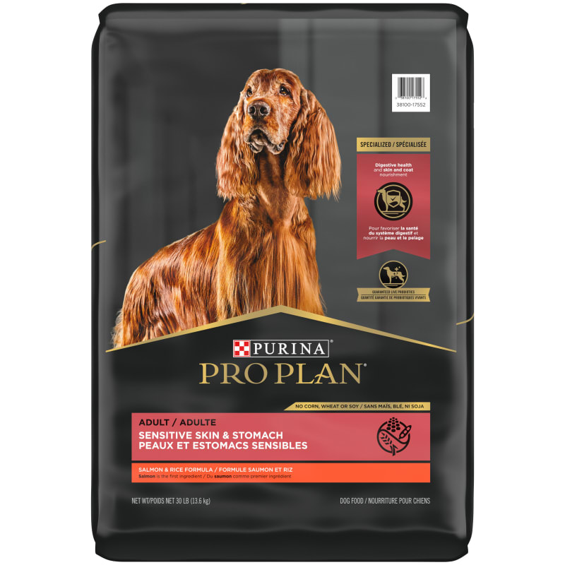 Purina pro plan dry dog food focus sensitive skin & stomach salmon & rice formula store