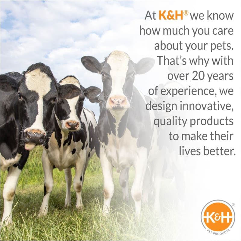 K&h bucket heater on sale