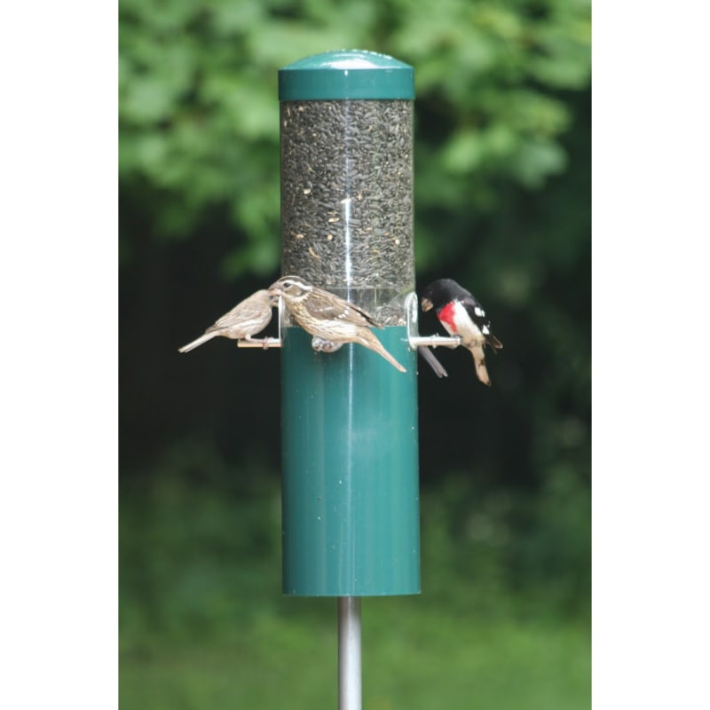 Bird feeder store pole tractor supply