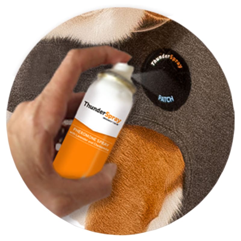 Thunder spray cheap for dogs