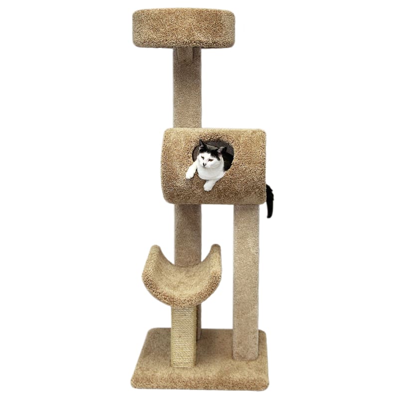 Beatrise cat trees store