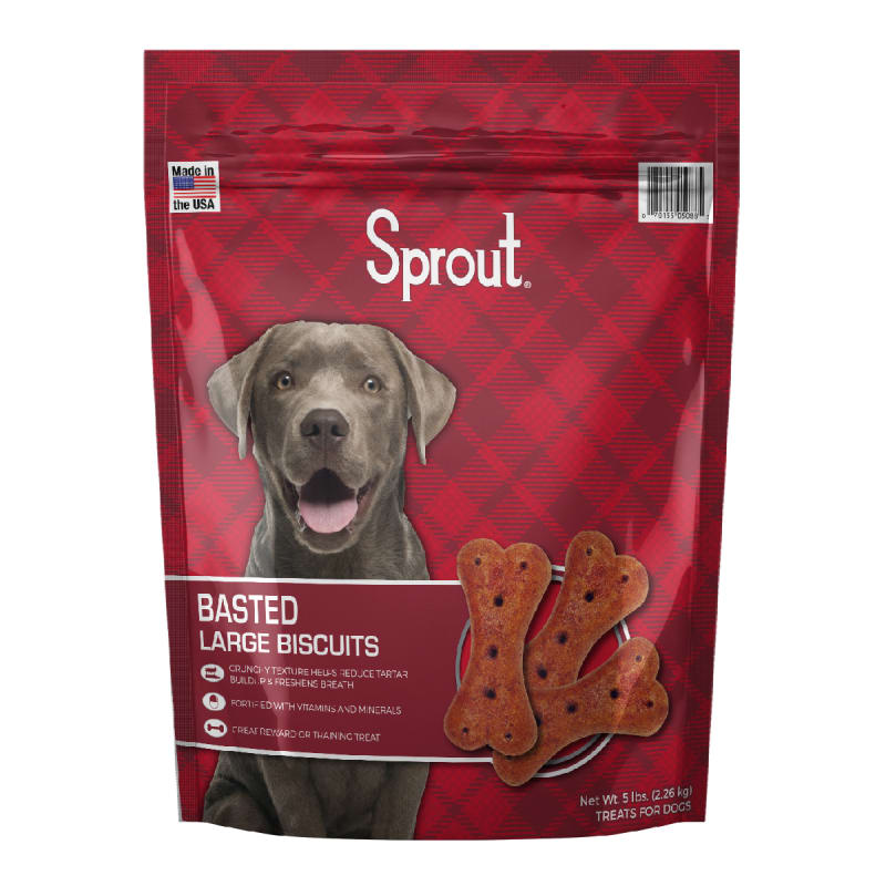 Big dog biscuits hotsell