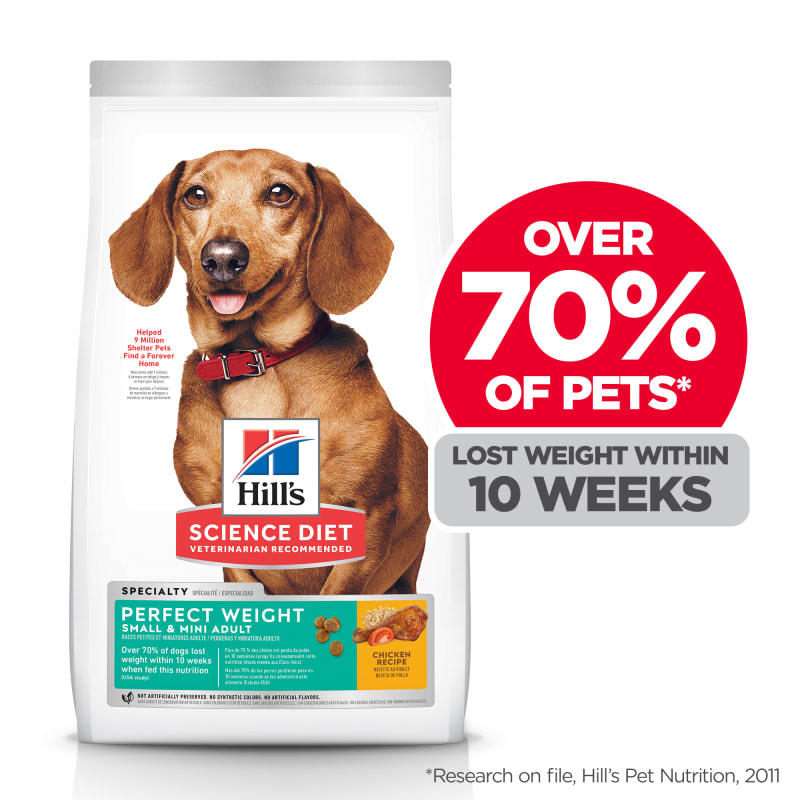 Hill's science diet perfect weight cheap
