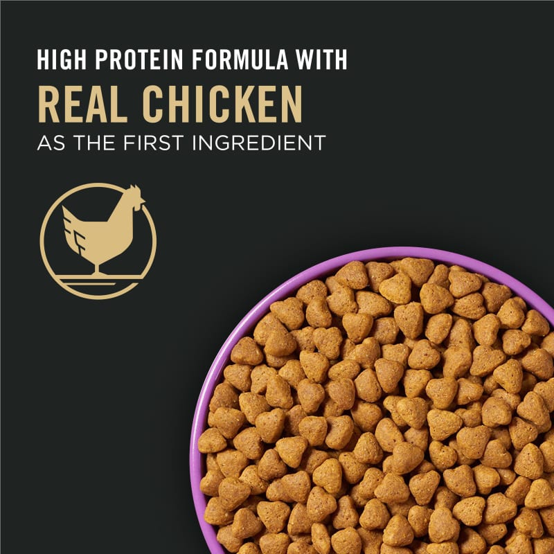 Sport All Ages Performance 30 20 Chicken Rice Formula Dry Dog