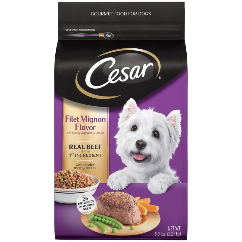 Cesar dry puppy food deals