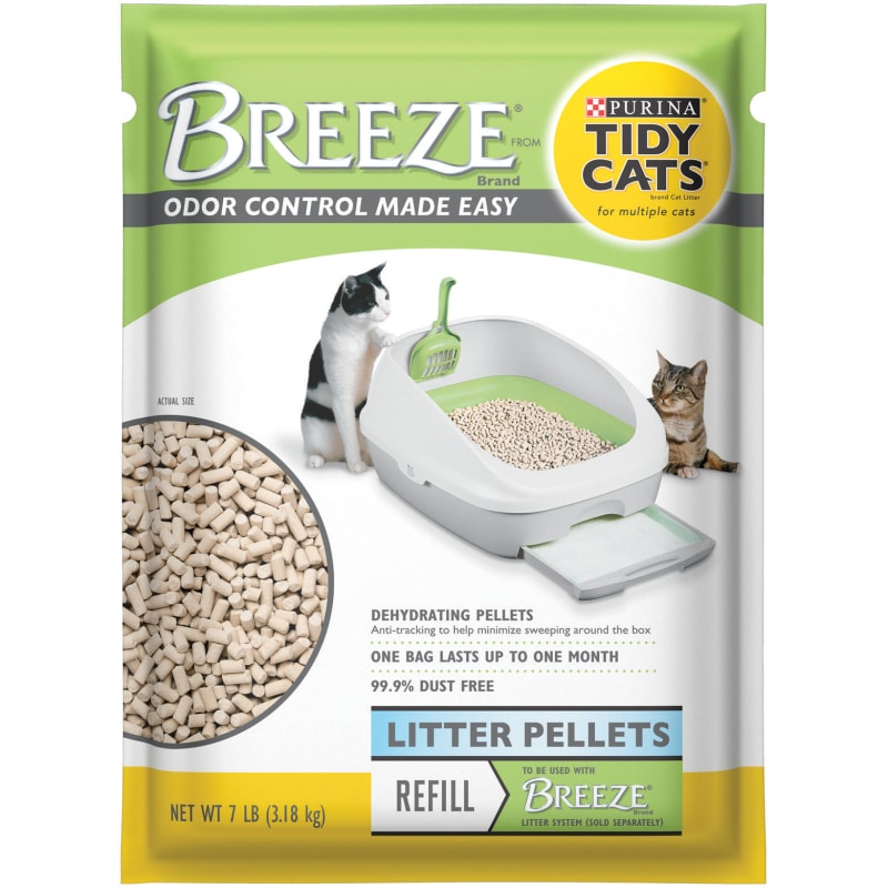 Male fixed cat peeing everywhere online