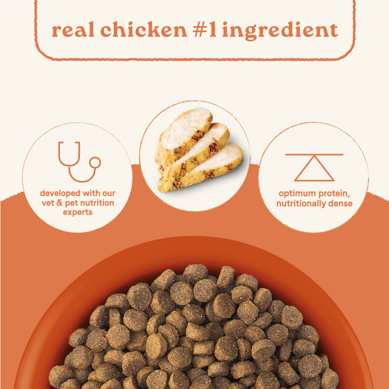 Canidae all life stages cat food online