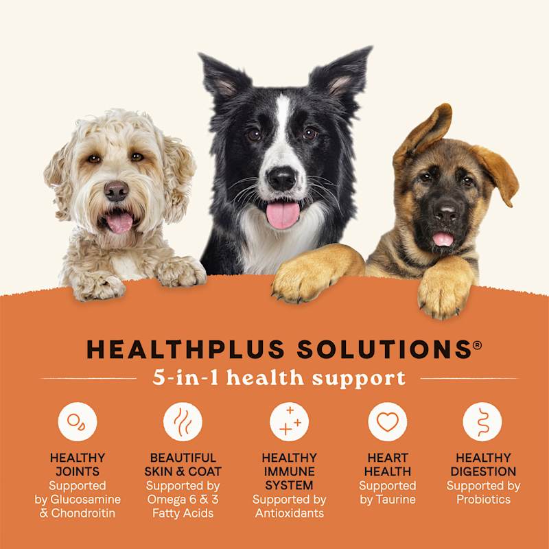 Canidae all life stages clearance