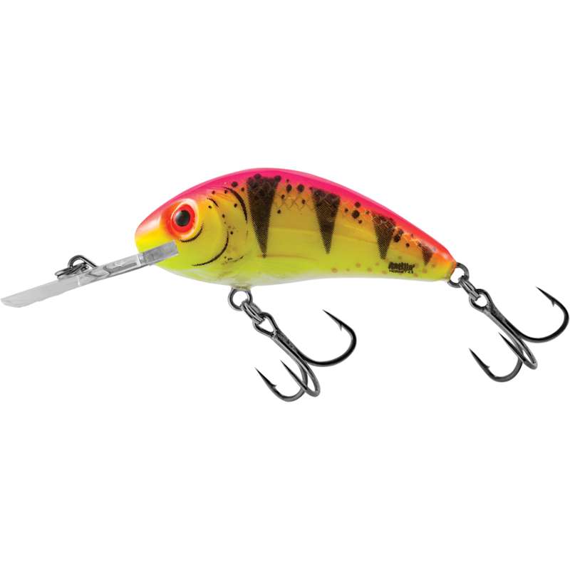 Rattlin' Hornet Wild Tiger Crankbait by Salmo at Fleet Farm