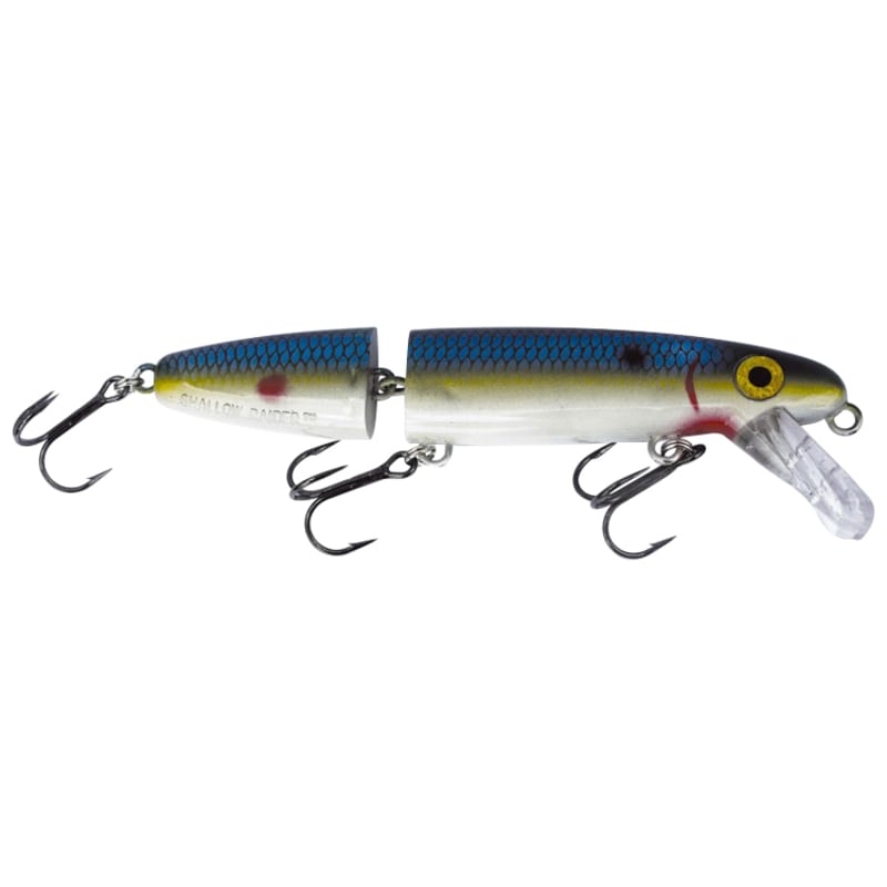 Shallow Raider 7 in Bait Fish Jointed Crankbait by Joe Bucher at