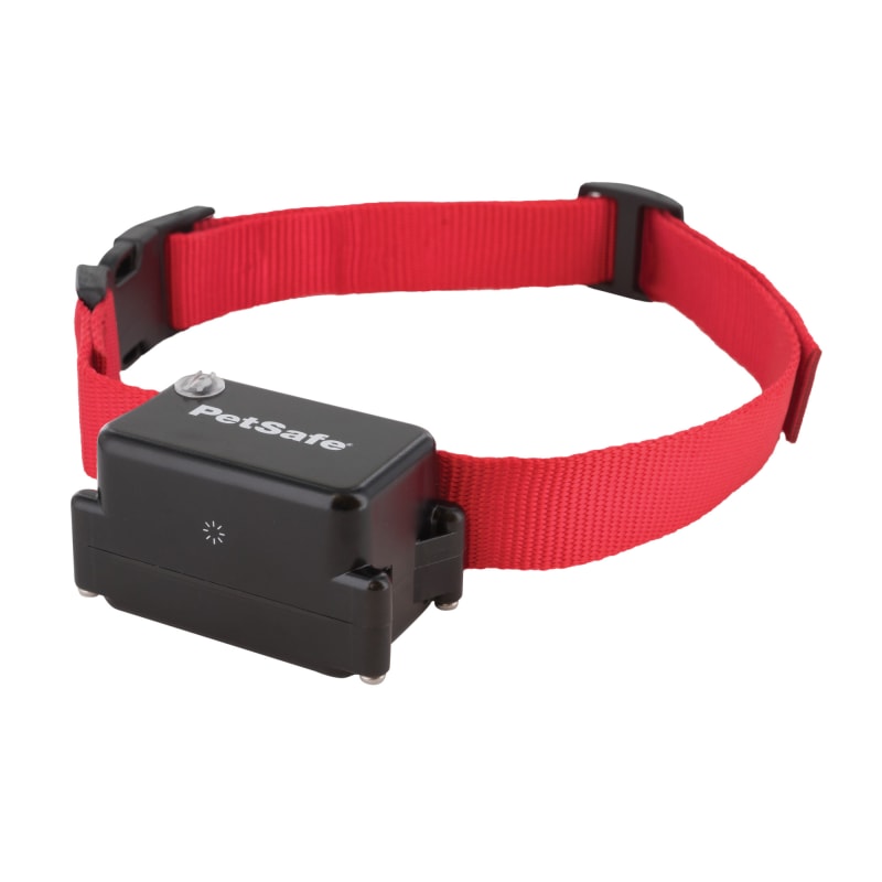 Petsafe stubborn dog fence online