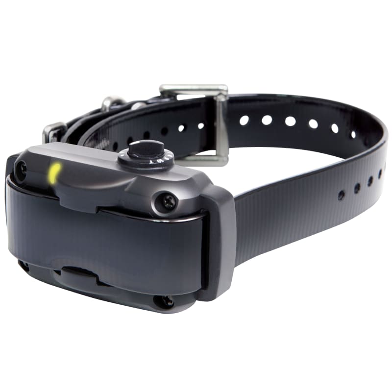 Fleet farm store shock collar